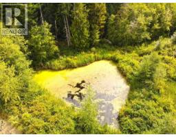 121 Whims Rd, Salt Spring, BC V8K1B2 Photo 20