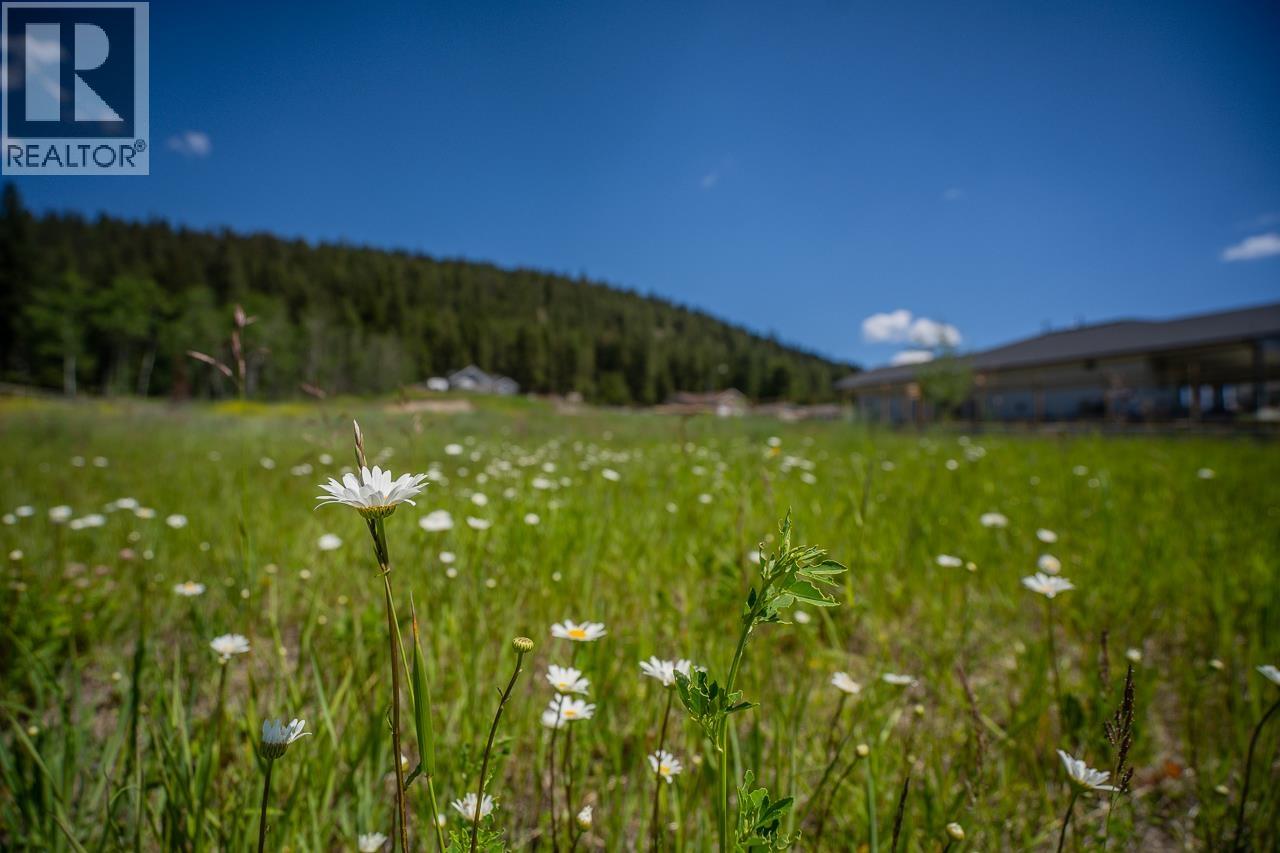 LOT 40 BLACKSTOCK ROAD, 100 Mile House