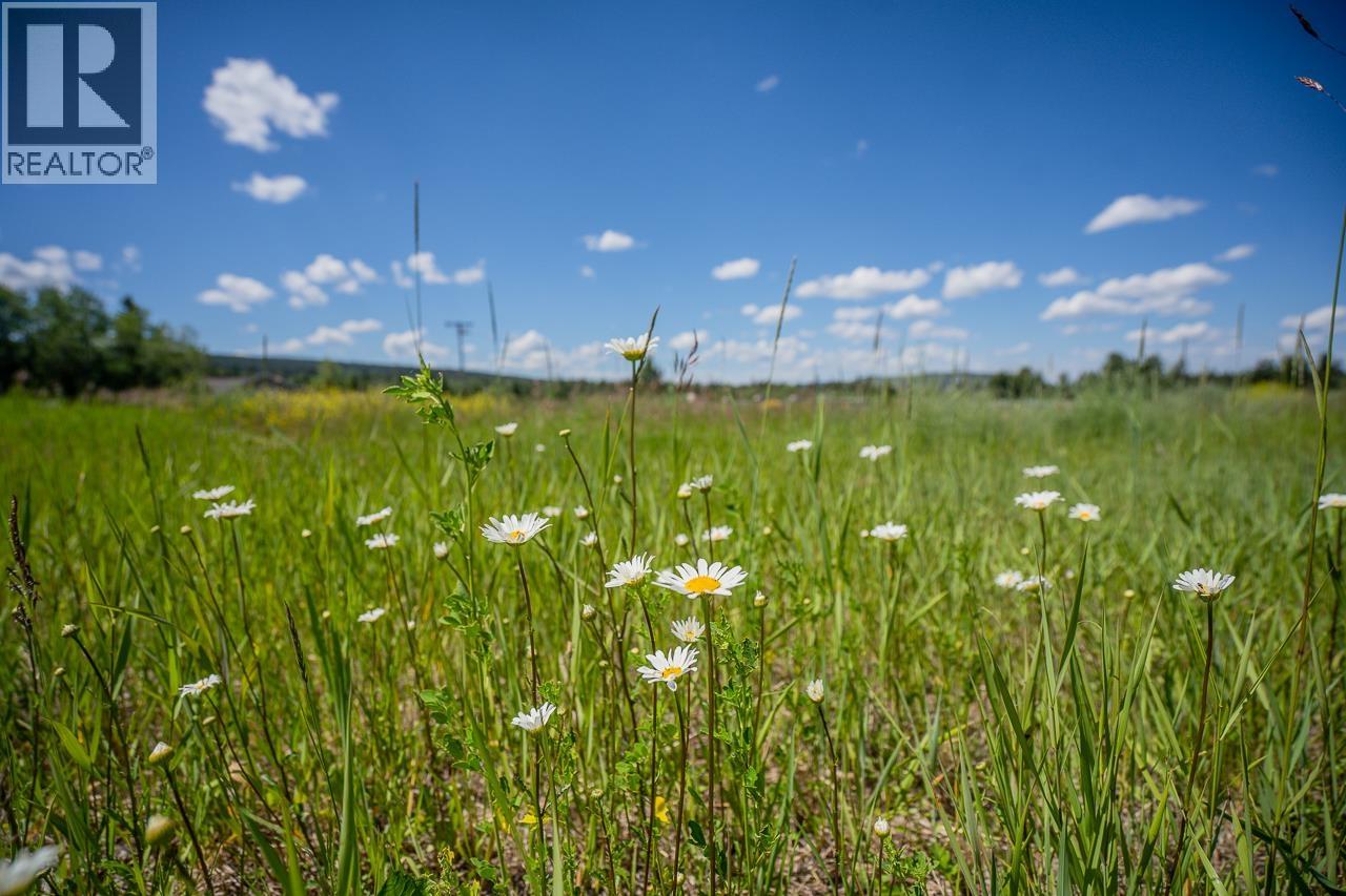 LOT 40 BLACKSTOCK ROAD, 100 Mile House