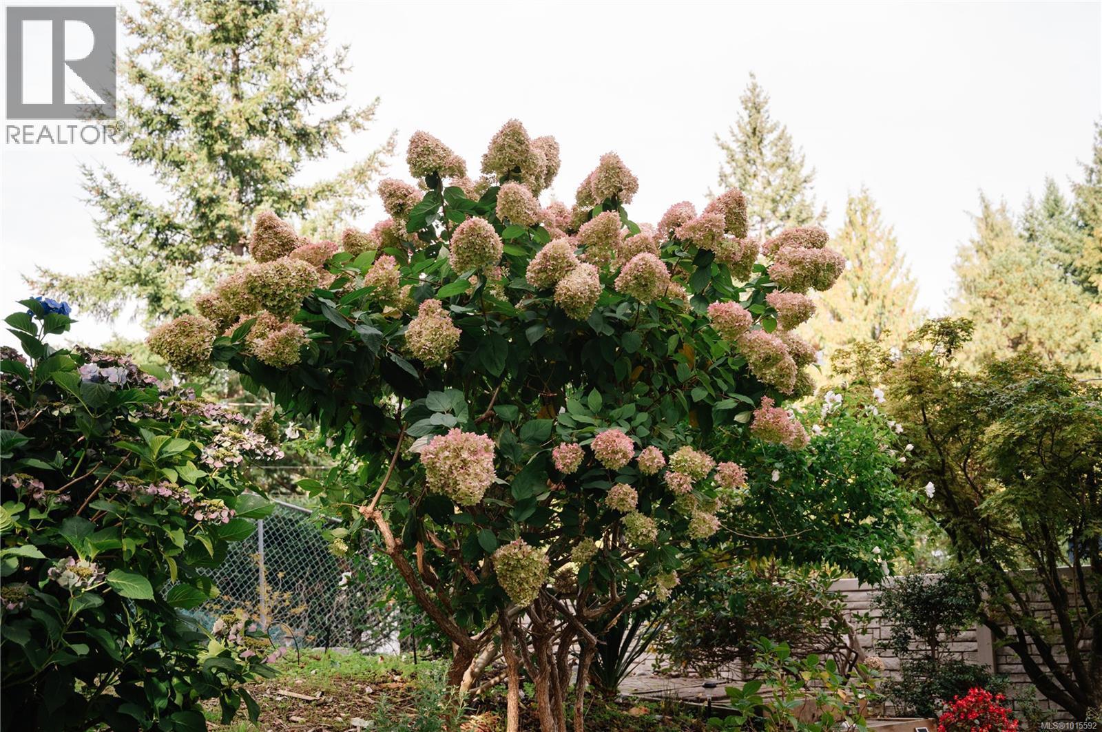 2371 Steelhead Rd, Campbell River