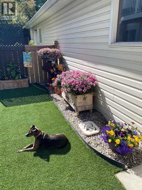 Single Family House for Sale in  Citadel Drive NW Citadel Calgary 