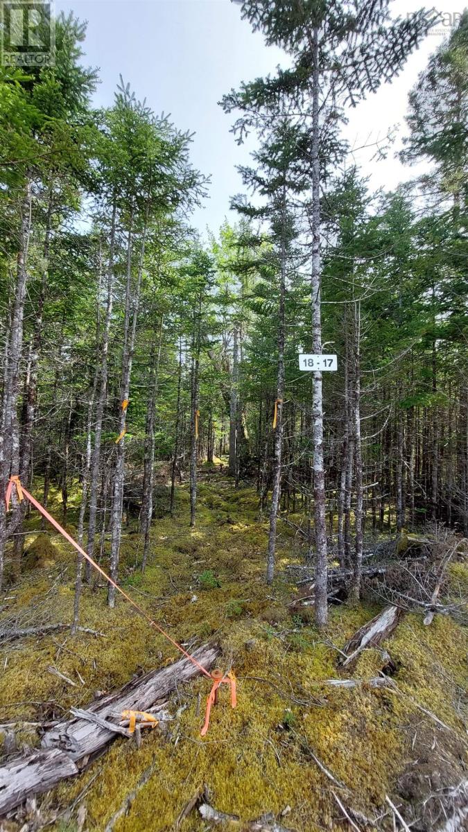 Property 17 of 23 of Lot 18 Highway 4