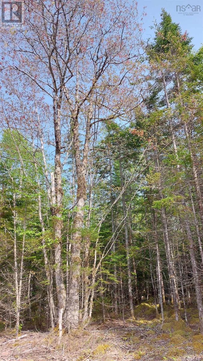 Property 16 of 23 of Lot 18 Highway 4