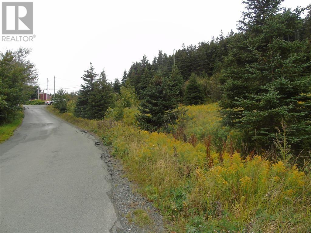 0 Southside Lance Cove Road - Photo 2 of 6, Bell Island, Newfoundland & Labrador