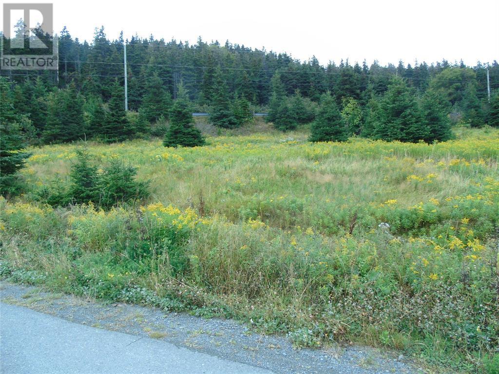 0 Southside Lance Cove Road - Photo 5 of 6, Bell Island, Newfoundland & Labrador