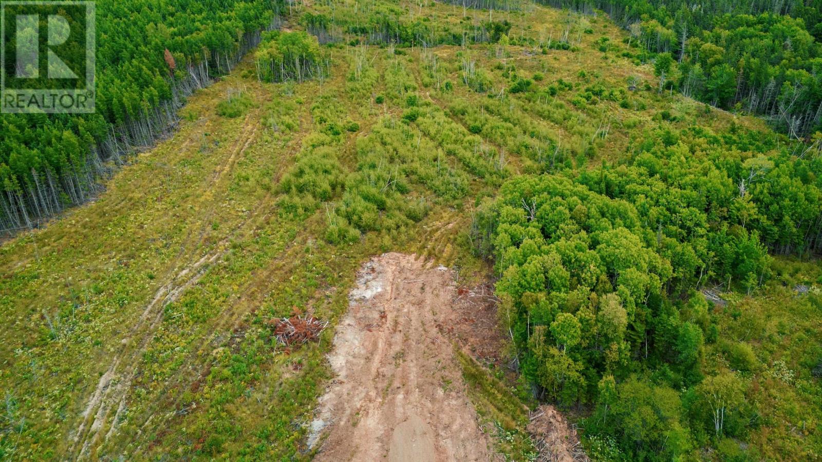 Property 11 of 18 of 24-1 Blue Goose Drive