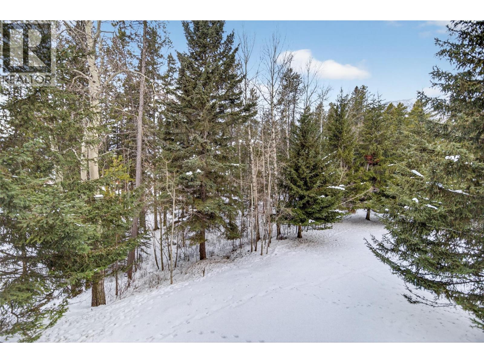 1299 Ponderosa Drive Unit# 304A, Sparwood