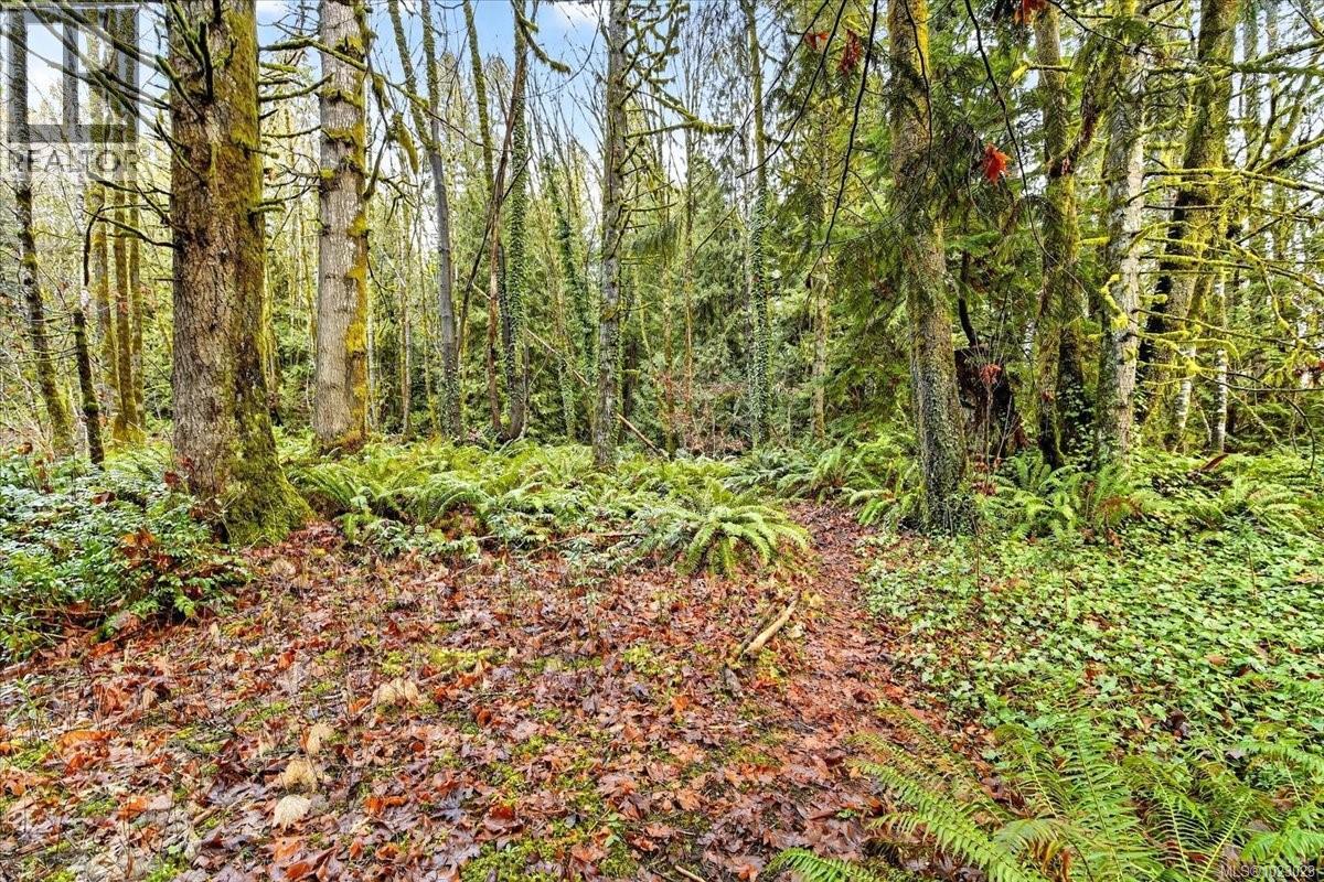 6009 River Rd, Port Alberni