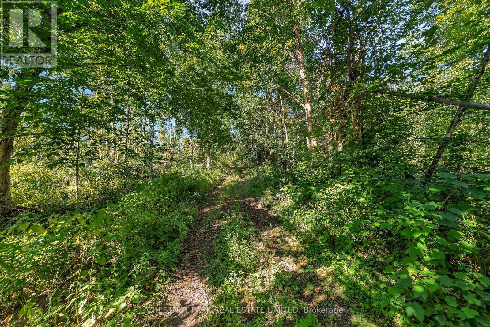 682 FELBERS ROAD - 29