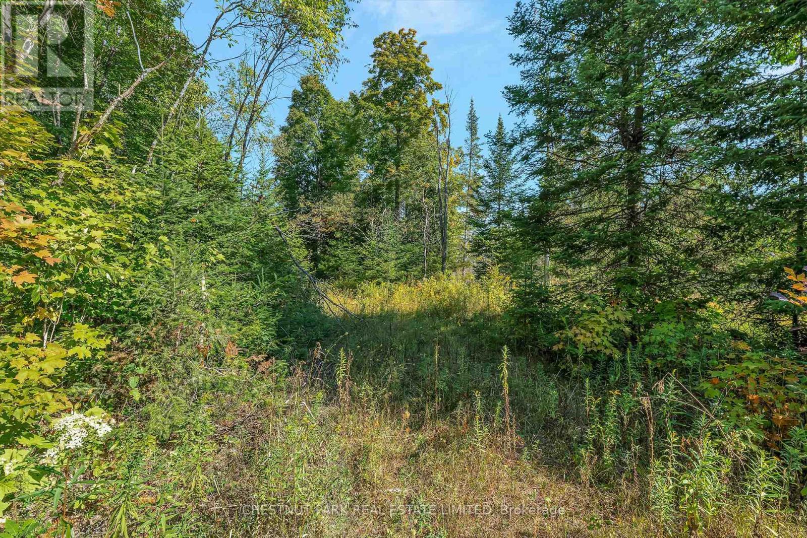 682 FELBERS ROAD - 42
