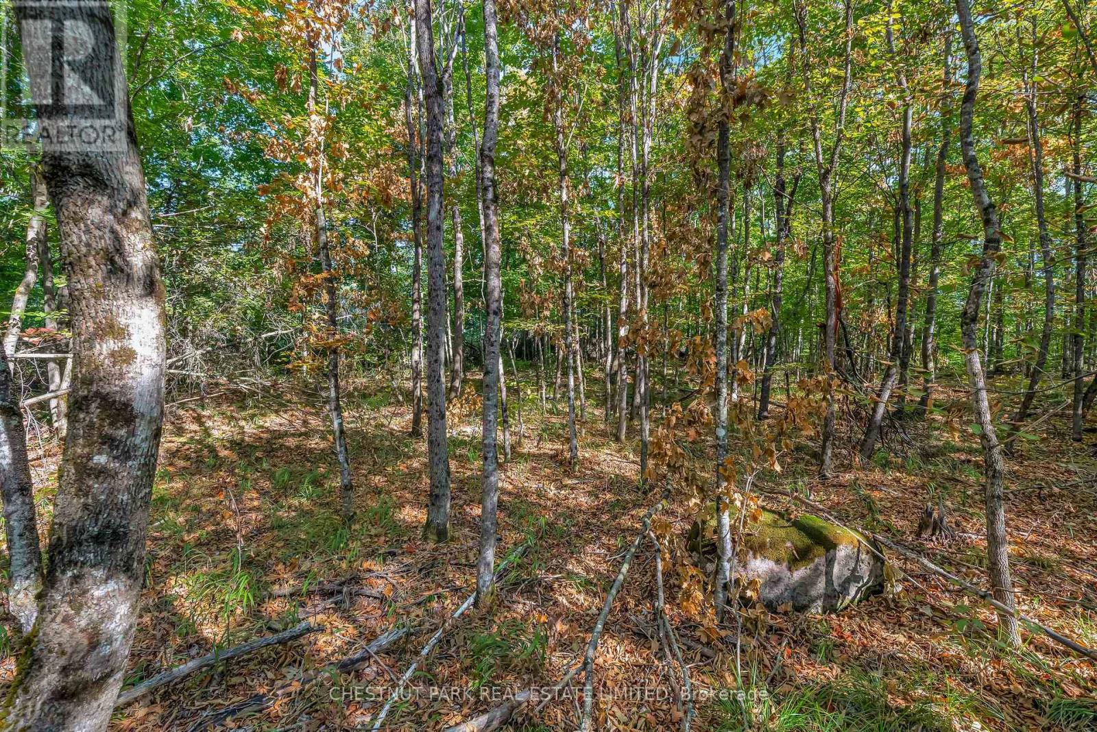 682 FELBERS ROAD - 43
