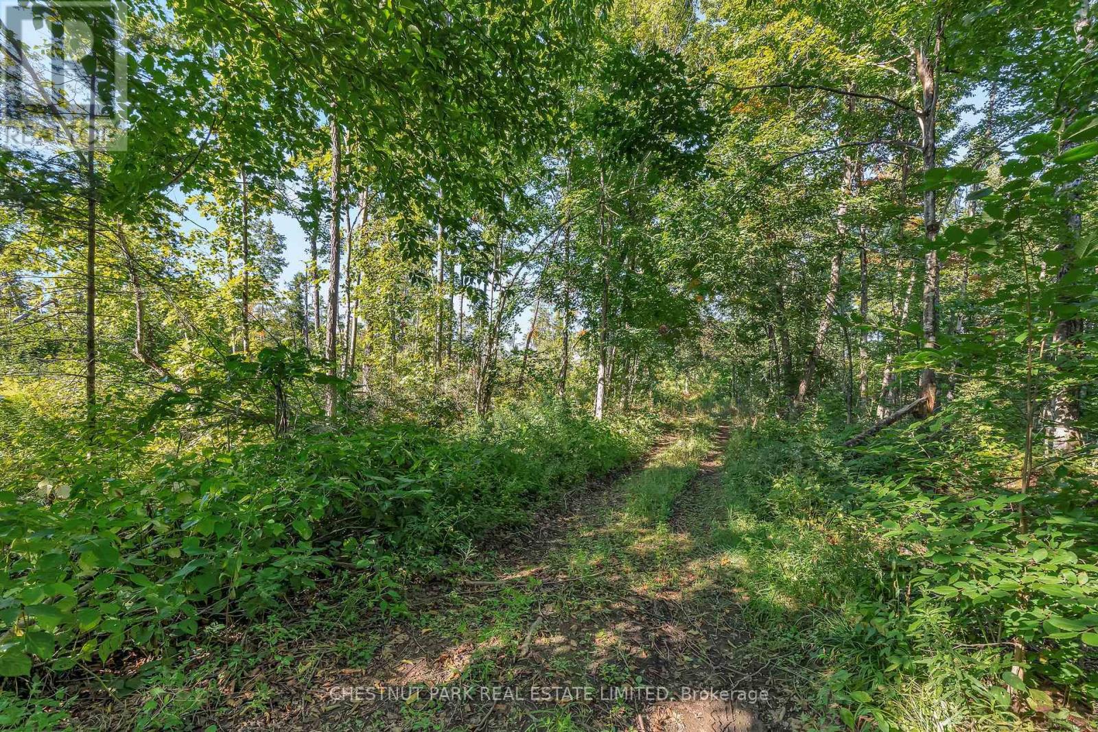 682 FELBERS ROAD - 45