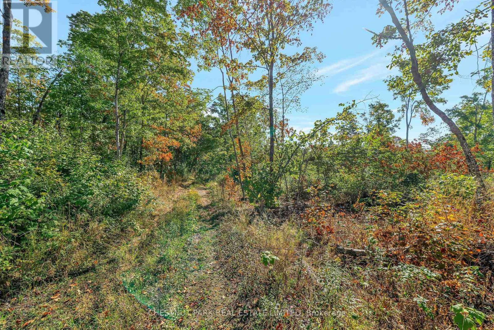 682 FELBERS ROAD - 46