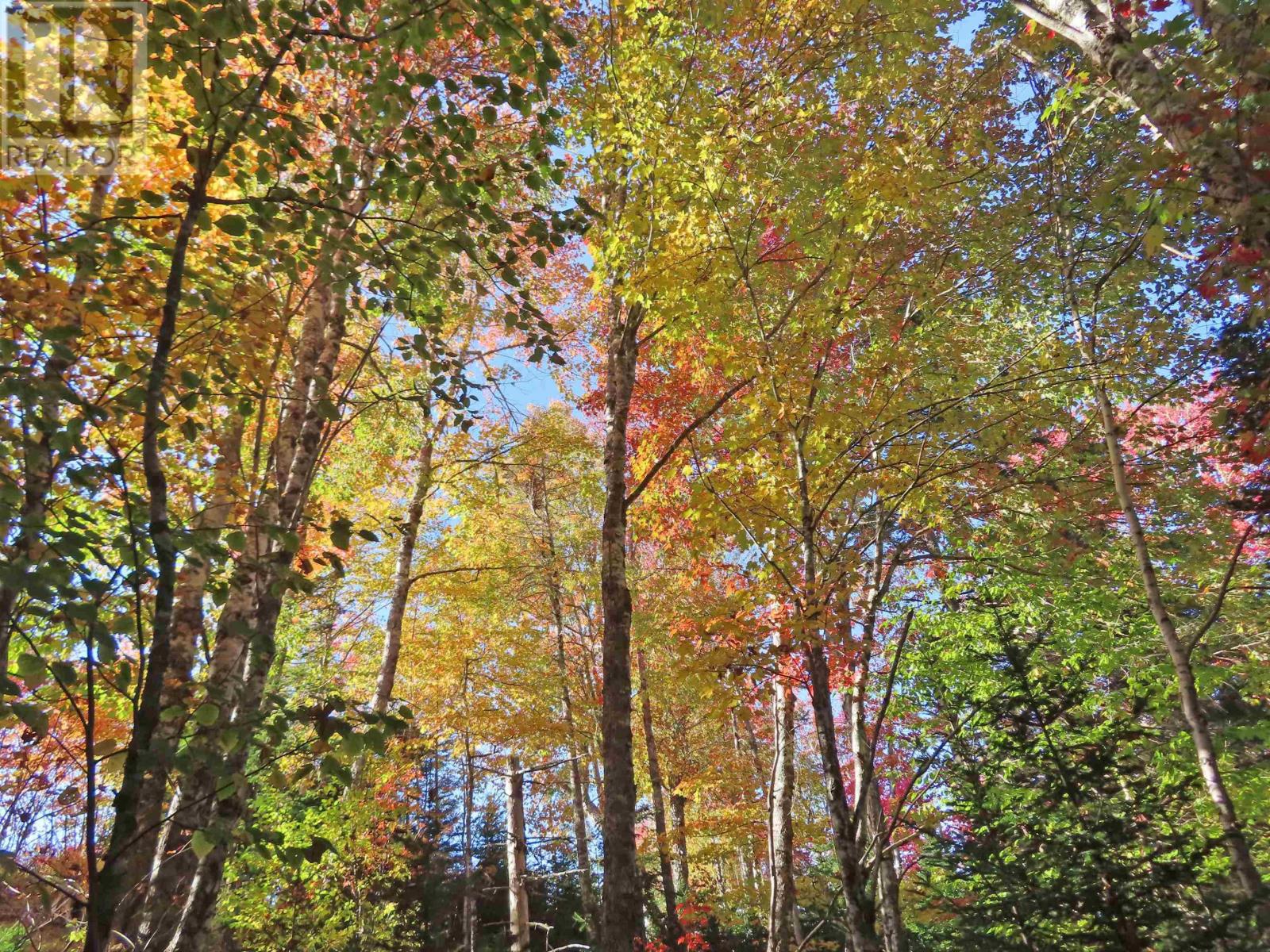 Property 21 of 41 of 116.5 ACRES 348 Highway, West River Road