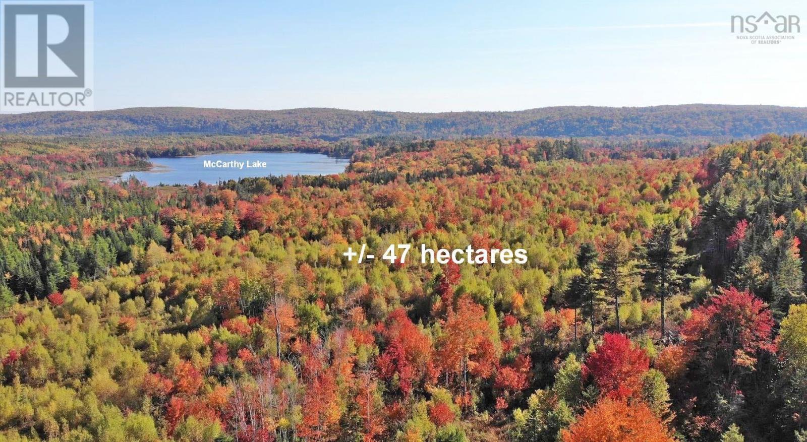 Property 14 of 41 of 116.5 ACRES 348 Highway, West River Road