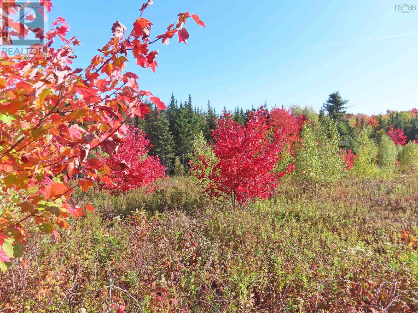 Property 26 of 41 of 116.5 ACRES 348 Highway, West River Road