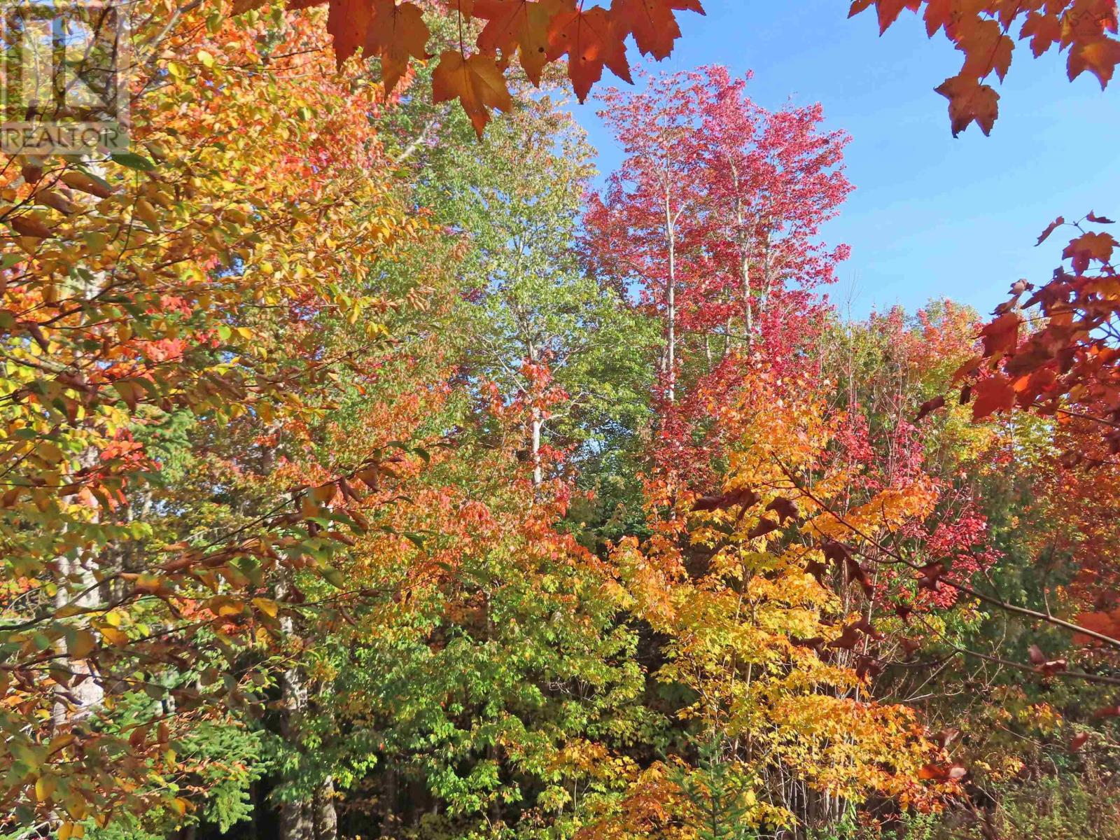 Property 20 of 41 of 116.5 ACRES 348 Highway, West River Road