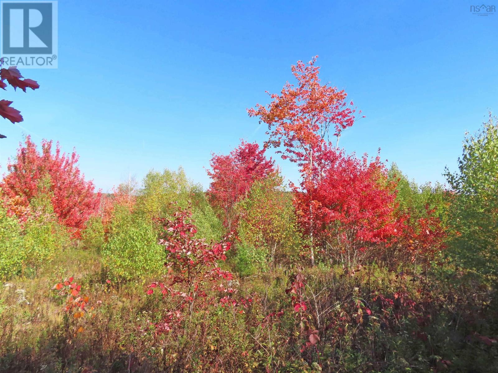 Property 28 of 41 of 116.5 ACRES 348 Highway, West River Road