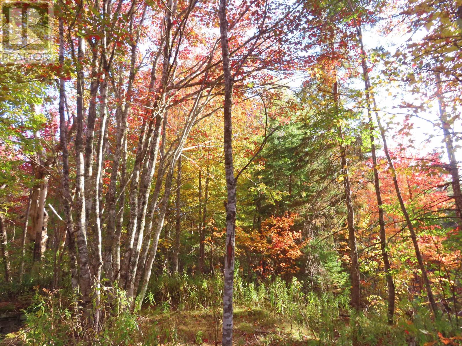 Property 22 of 41 of 116.5 ACRES 348 Highway, West River Road