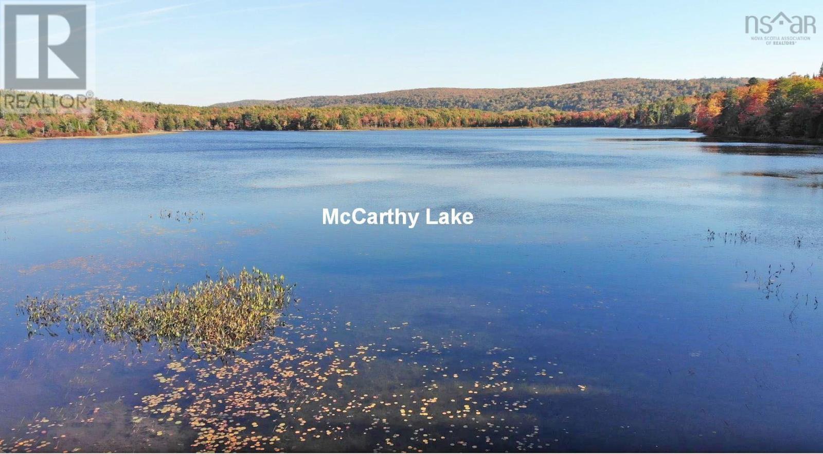 Property 31 of 41 of 116.5 ACRES 348 Highway, West River Road