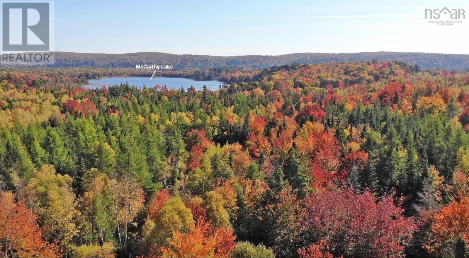 Property 4 of 41 of 116.5 ACRES 348 Highway, West River Road