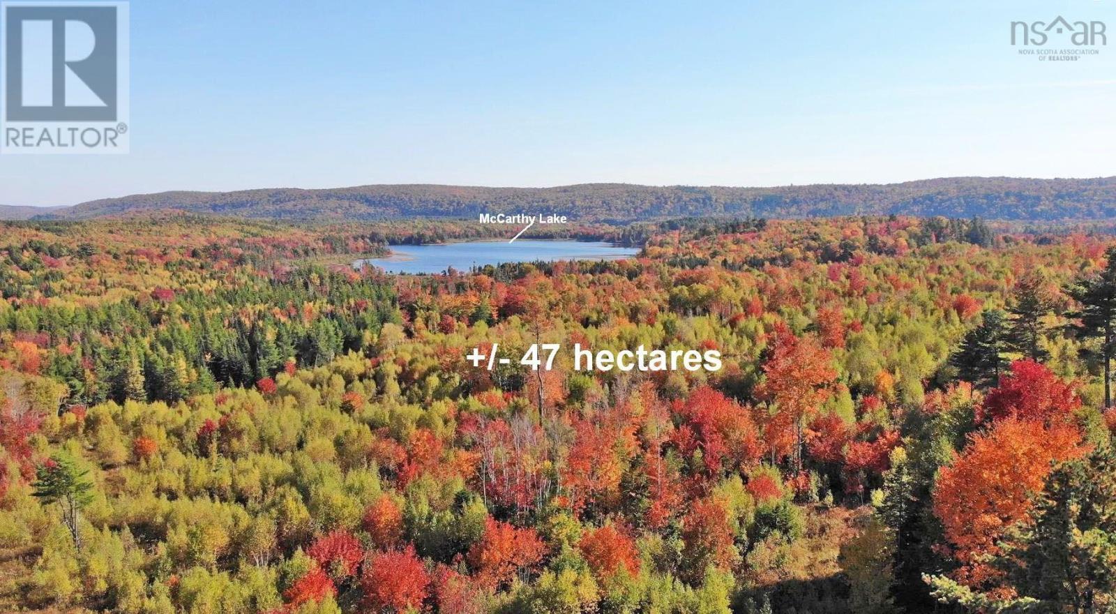 Property 5 of 41 of 116.5 ACRES 348 Highway, West River Road