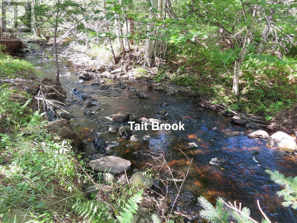 Property 37 of 41 of 116.5 ACRES 348 Highway, West River Road