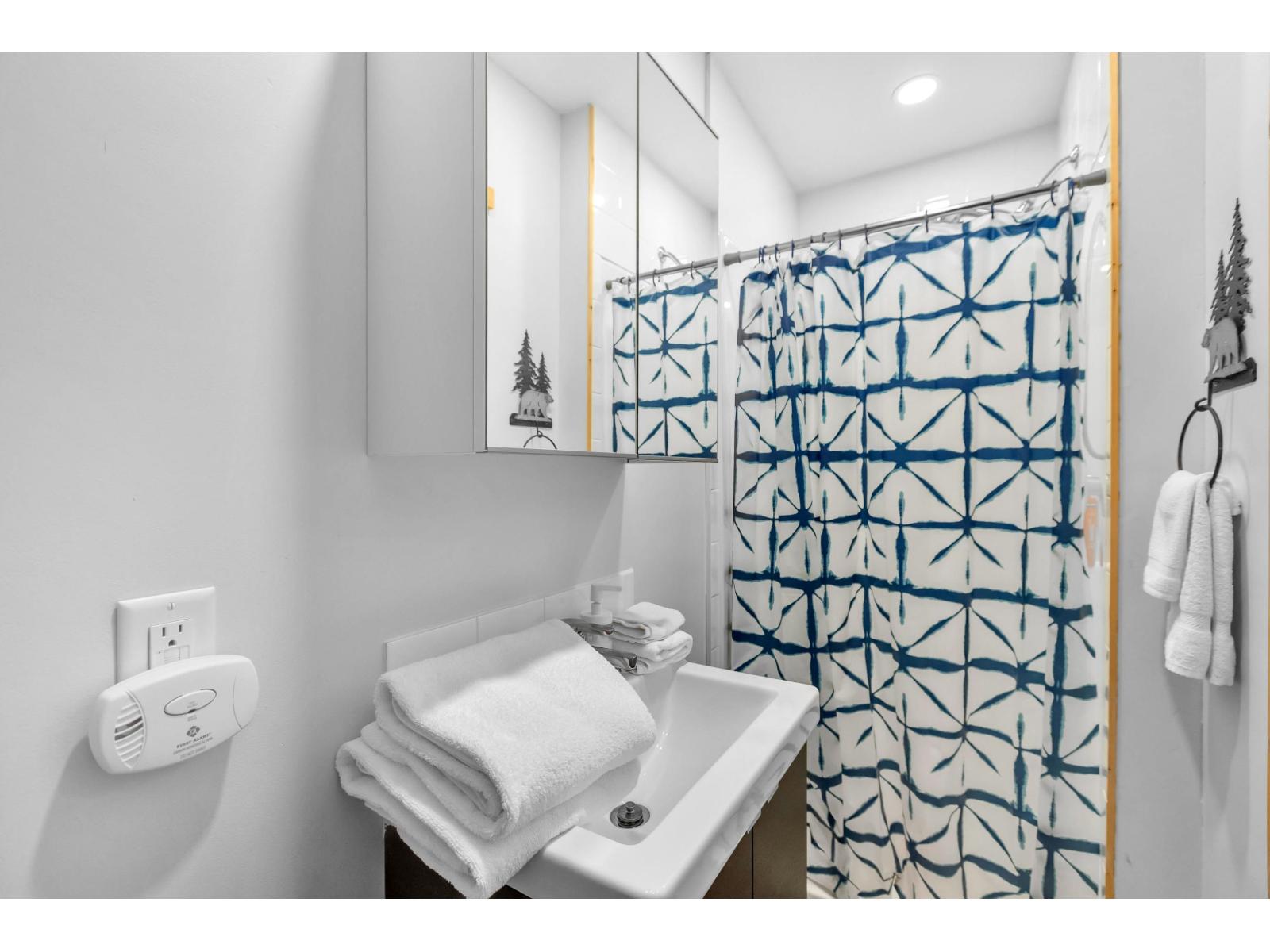 47075 SNOWMIST DRIVE, Agassiz