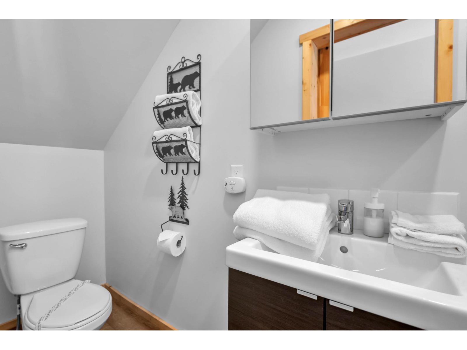 47075 SNOWMIST DRIVE, Agassiz