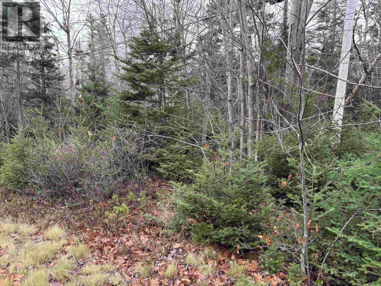 Property 28 of 31 of Lot 1 Shore Road