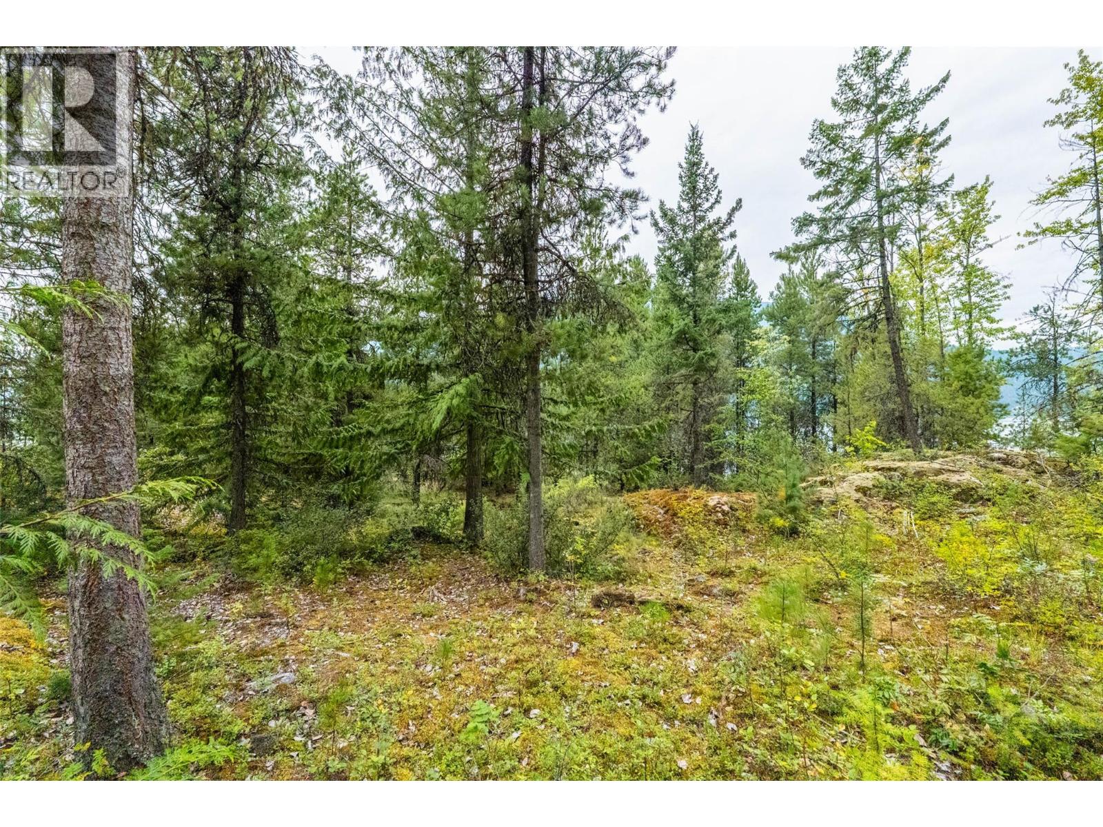 183-191 Kootenay Lake Road, Procter