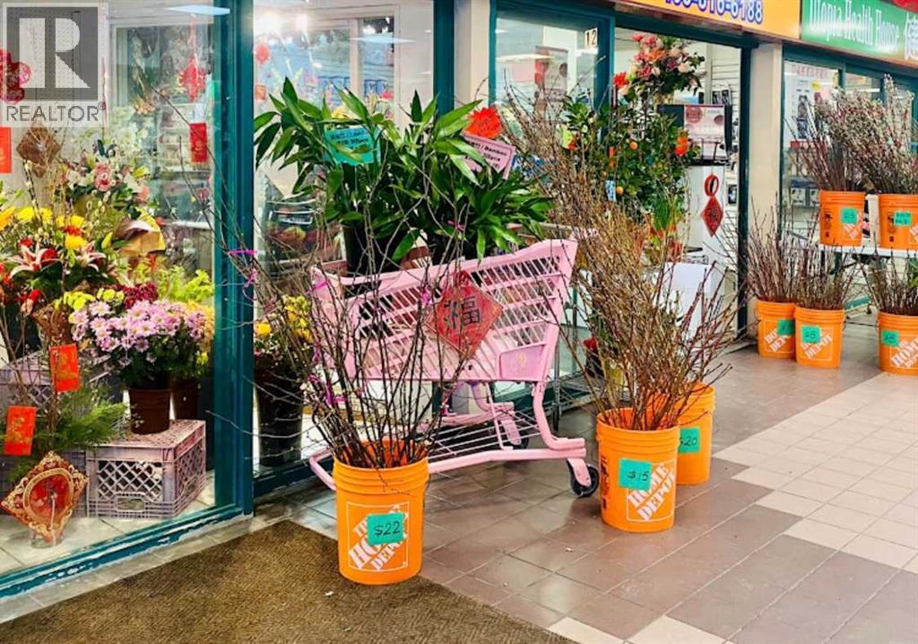 12, 132 3 Avenue SE, Calgary, Alberta