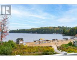 E 206 B 1 1869 Muskoka 118 Road W, Muskoka Lakes, ON P1L1W8 Photo 26