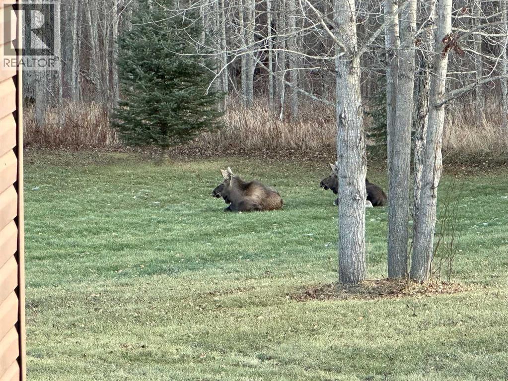 67280 RR153, Lac La Biche