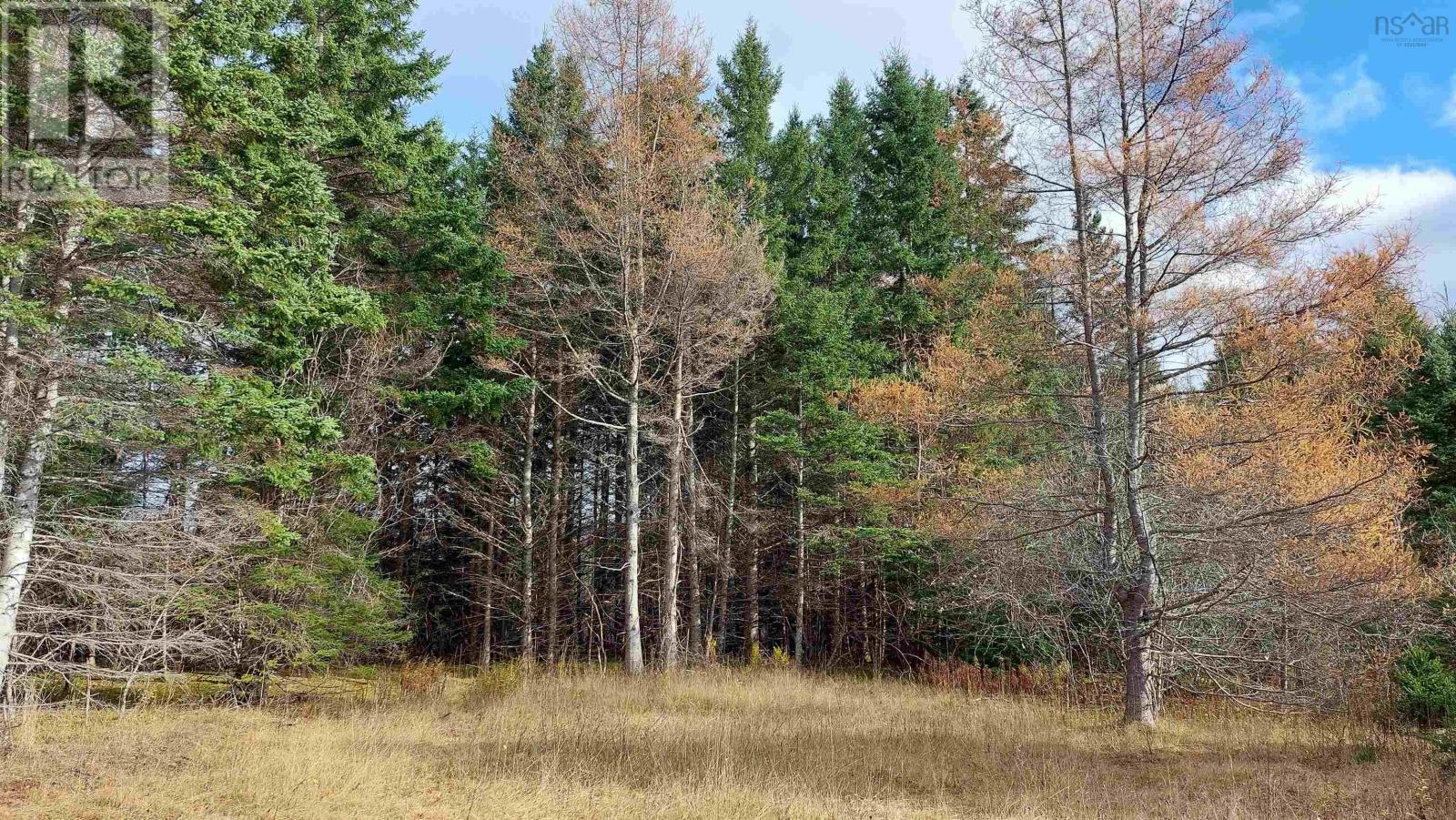 Property 11 of 23 of 1629 West Side Middle River Rd.