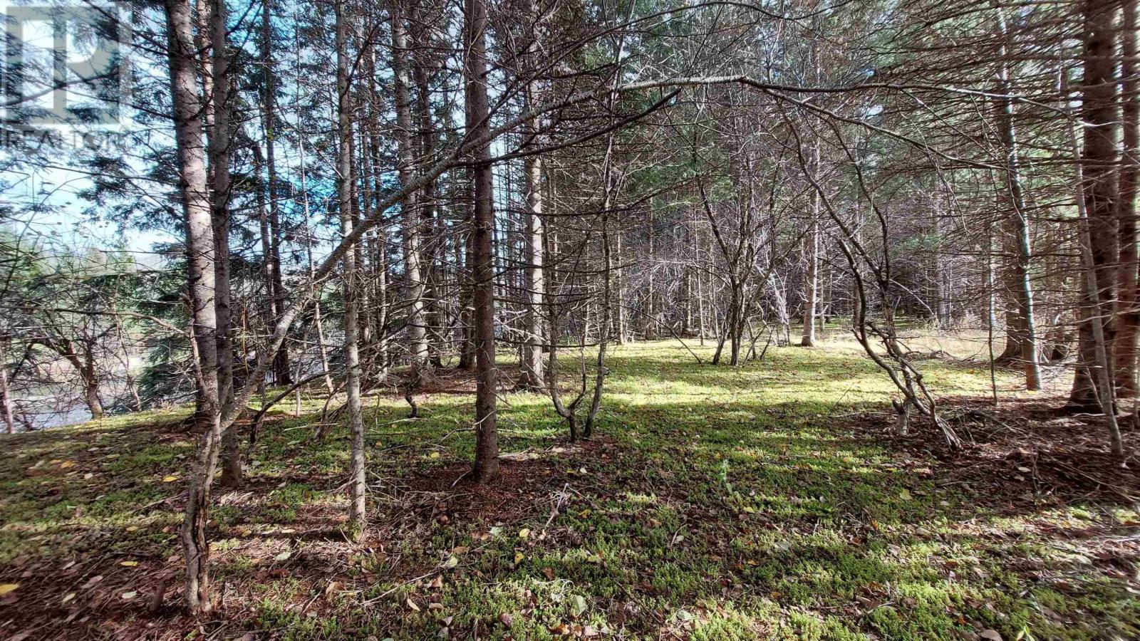 Property 16 of 23 of 1629 West Side Middle River Rd.