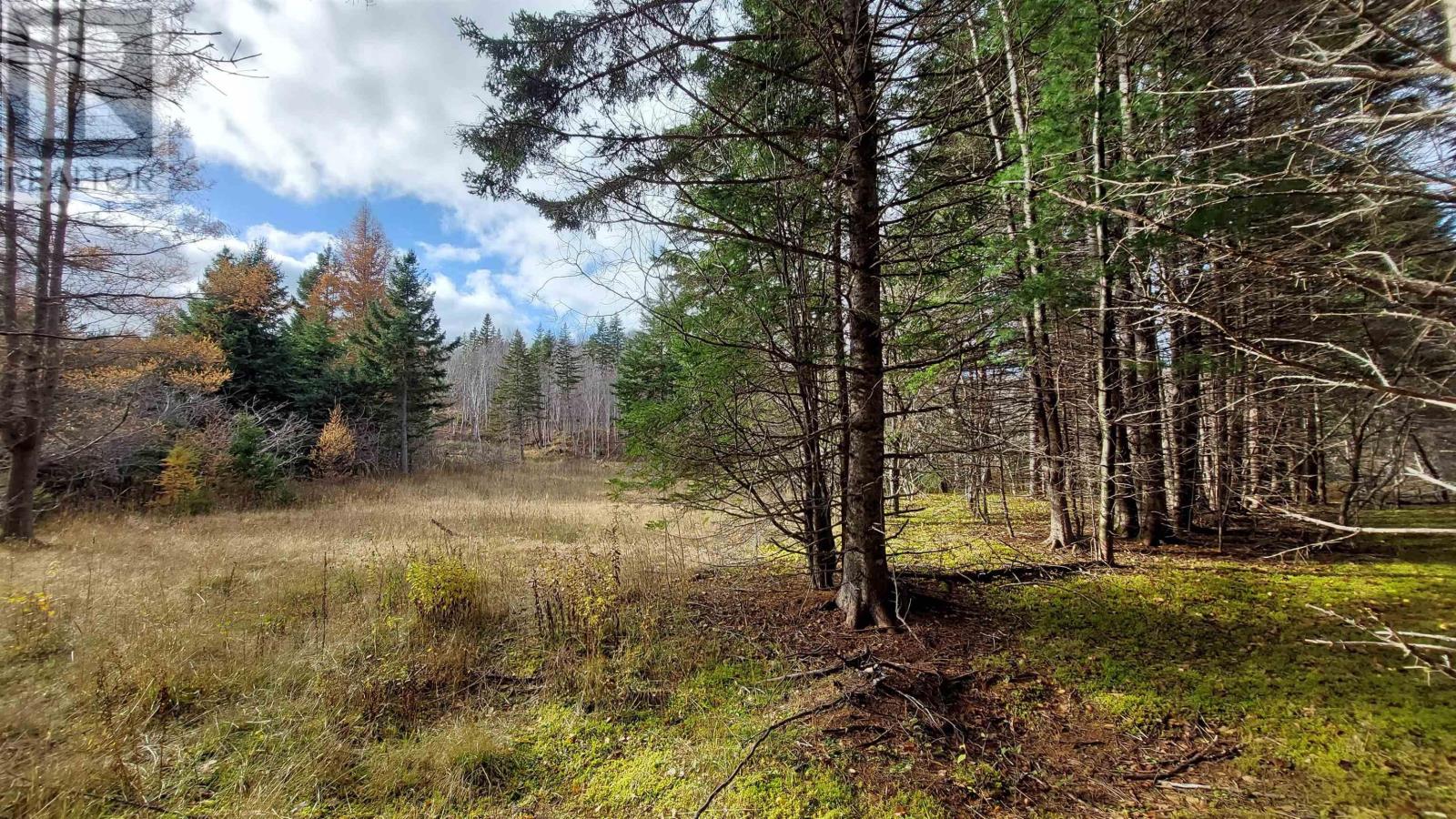 Property 4 of 23 of 1629 West Side Middle River Rd.