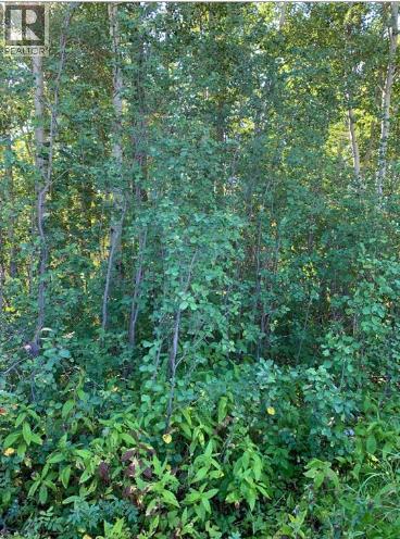 9815 99 Ave, Lac La Biche