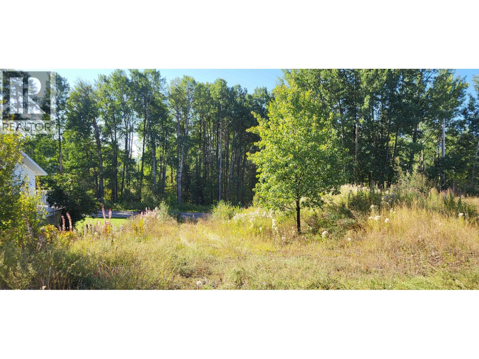 253 1ST Avenue, Burns Lake