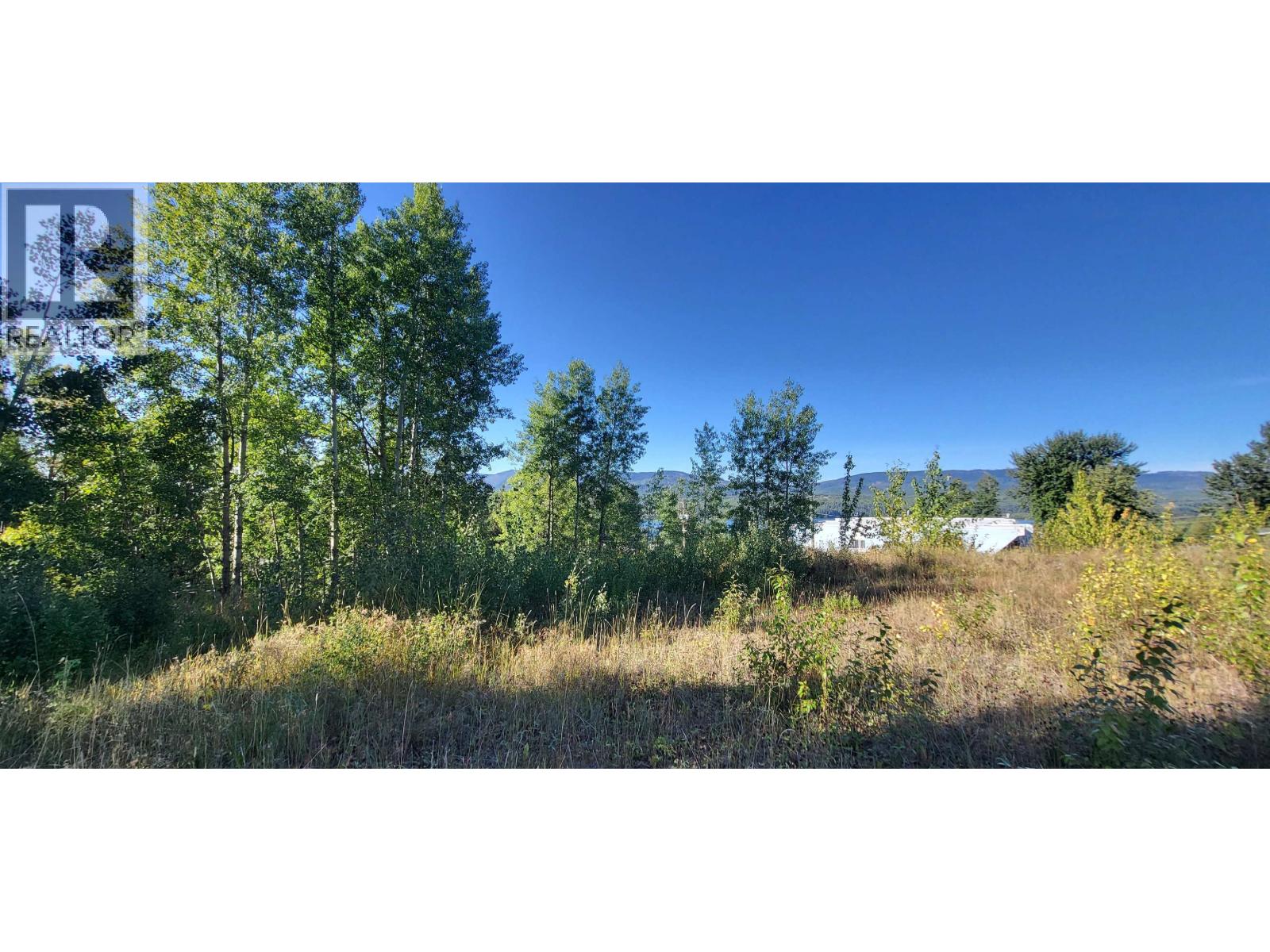 253 1ST Avenue, Burns Lake