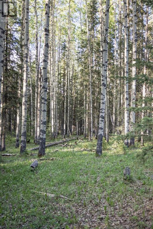 231175 Bracken Road, Bragg Creek