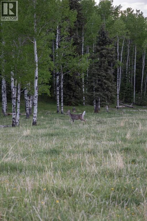 231175 Bracken Road, Bragg Creek