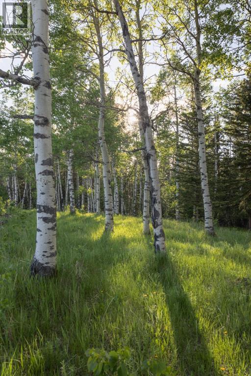 231175 Bracken Road, Bragg Creek