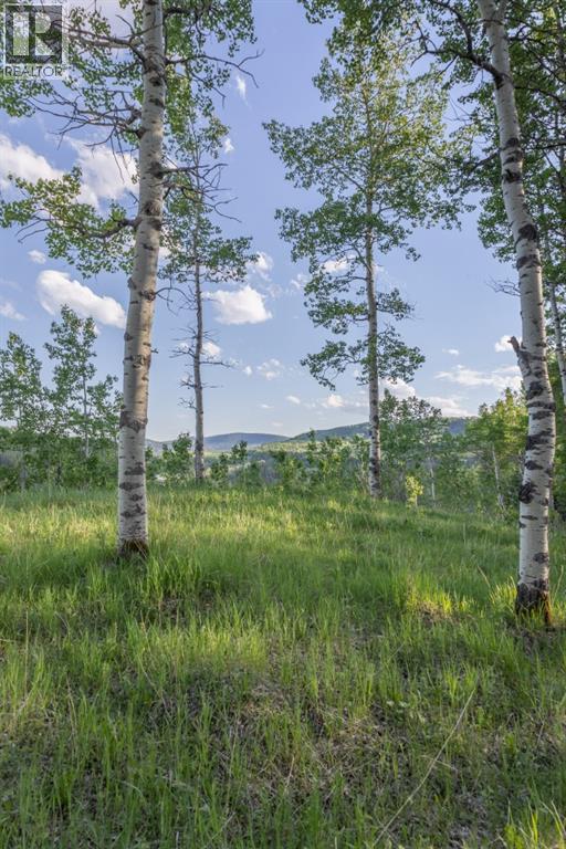 231175 Bracken Road, Bragg Creek