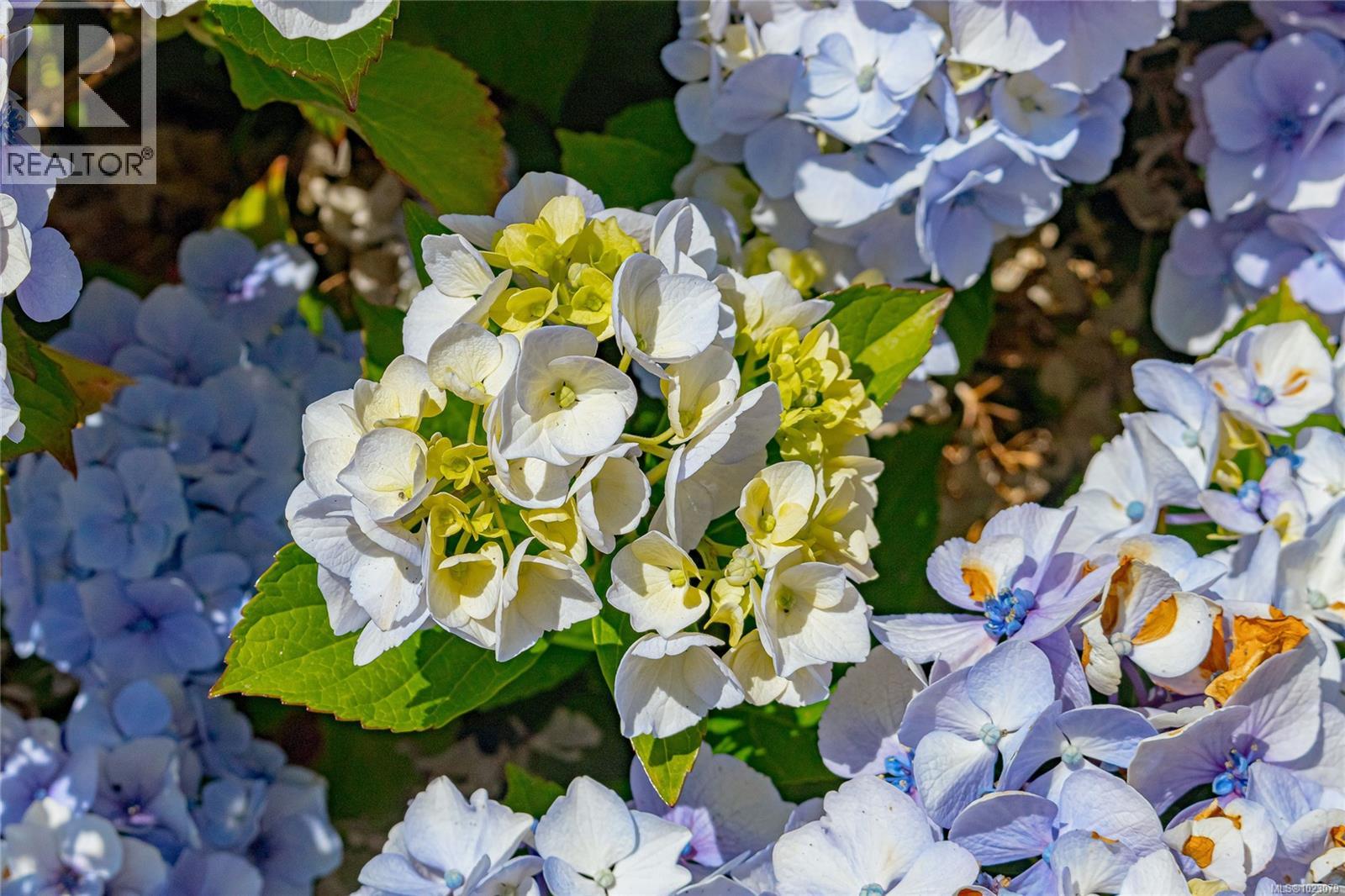 410 2850 Stautw Rd, Central Saanich