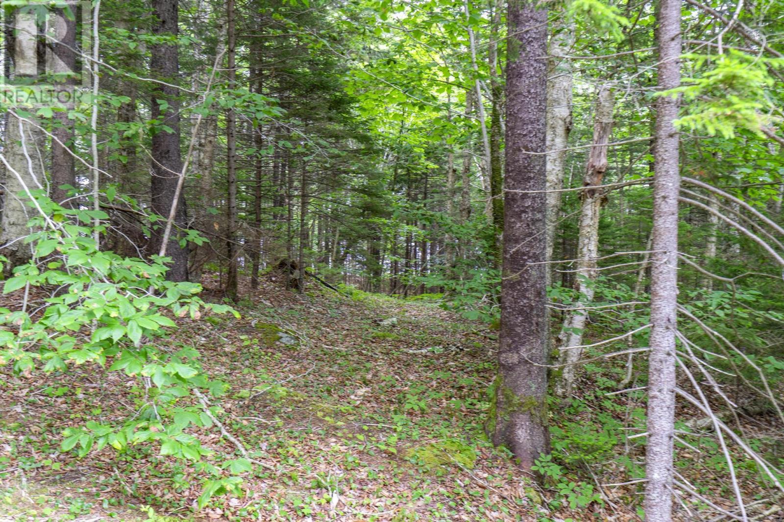 Property 34 of 38 of Lot 1 Highway 1