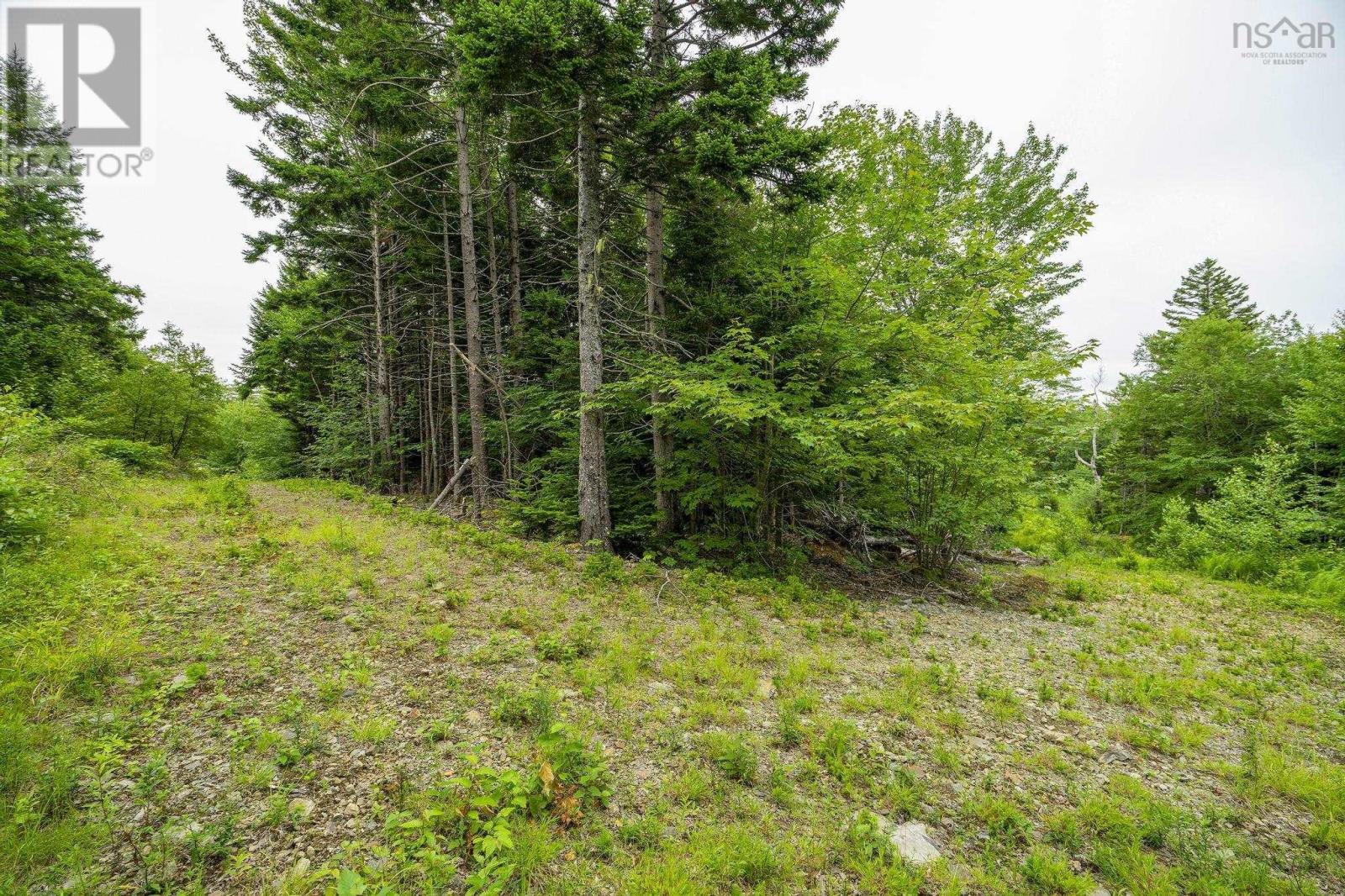 Property 42 of 45 of Lot 4 Highway 1