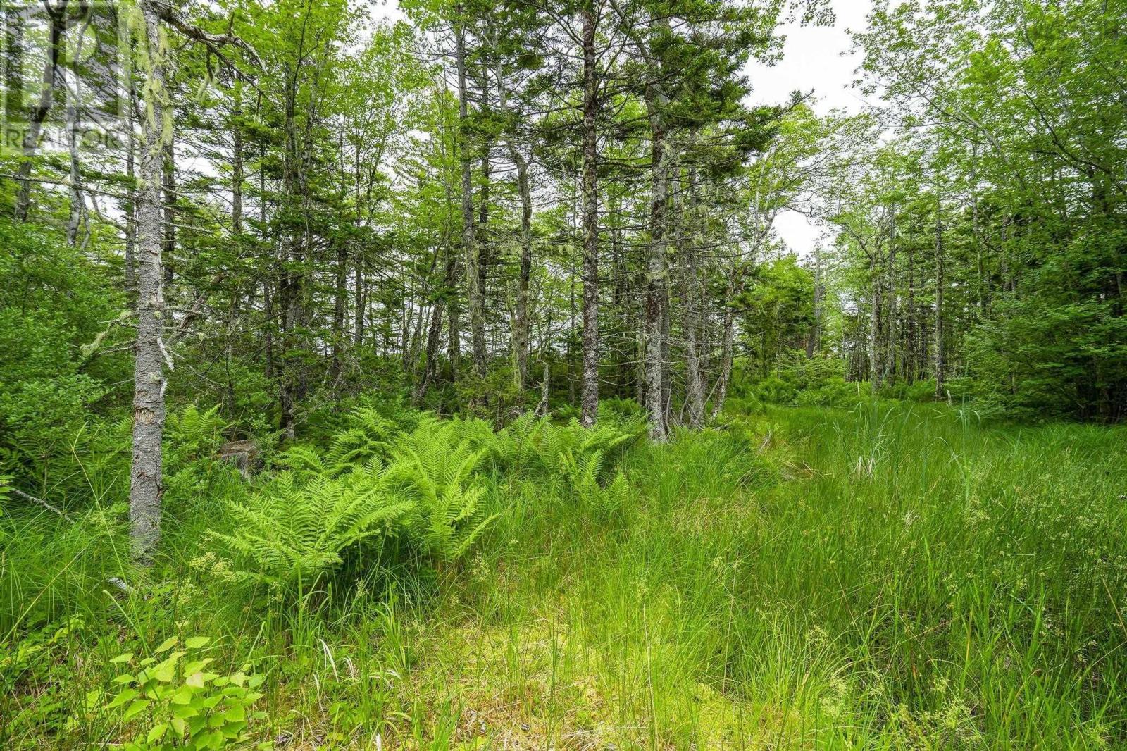 Property 43 of 45 of Lot 4 Highway 1