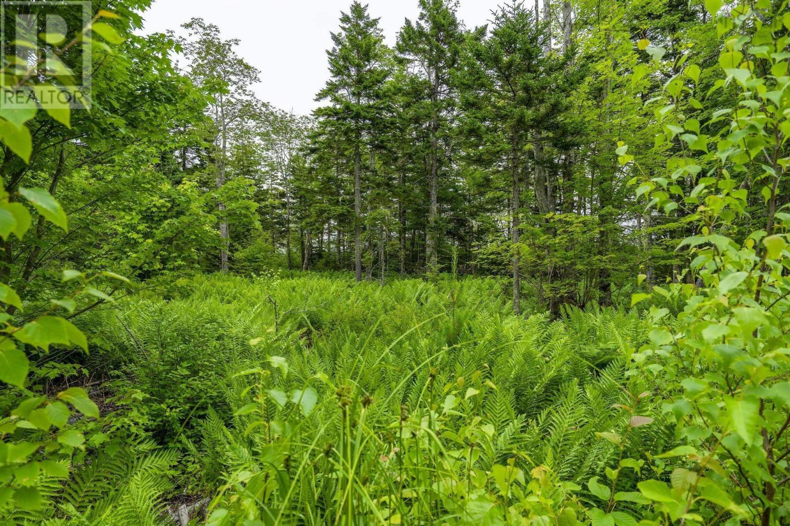 Property 45 of 45 of Lot 4 Highway 1