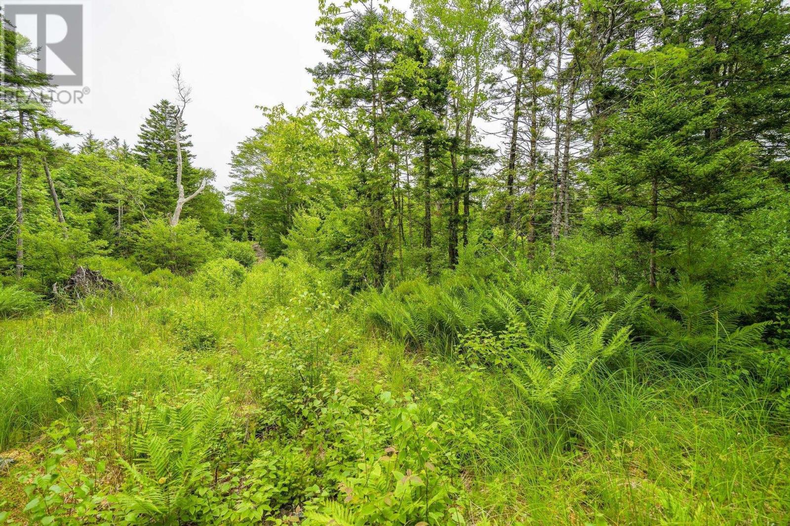 Property 44 of 45 of Lot 4 Highway 1